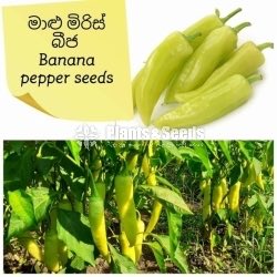 Vegetable Seeds 10 Pack for 600