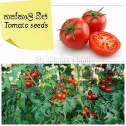 Vegetable Seeds 10 Pack for 600