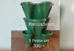 Tower Pots