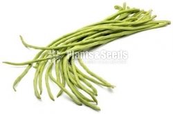 හවරි මෑ(Hawari Ma)