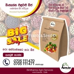 Vegetable Seeds Pack