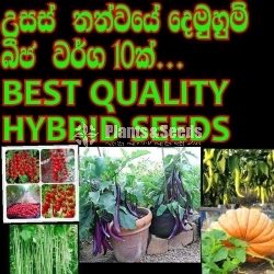 Hybrid seeds pack 
