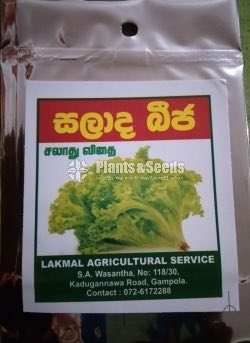 Vegetable Seeds