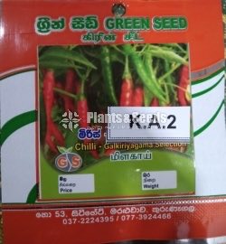Vegetable Seeds