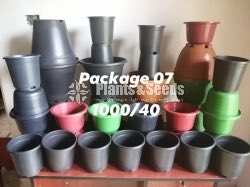 Plastic Pots