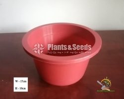 Plastic Pots