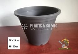Plastic Pots