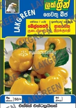 Vegetable Seeds Pack