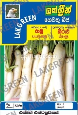 Vegetable Seeds Pack