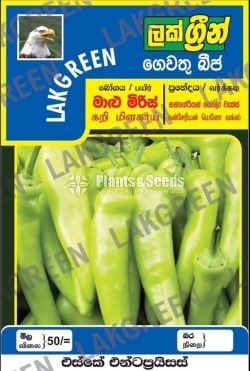 Vegetable Seeds Pack