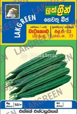 Vegetable Seeds Pack