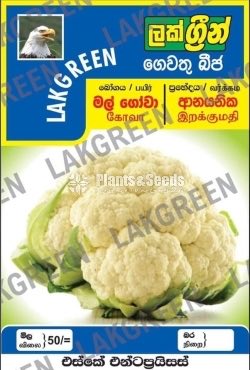 Vegetable Seeds Pack