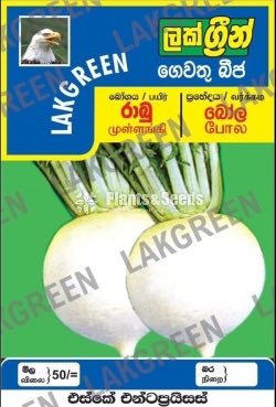 Vegetable Seeds Pack
