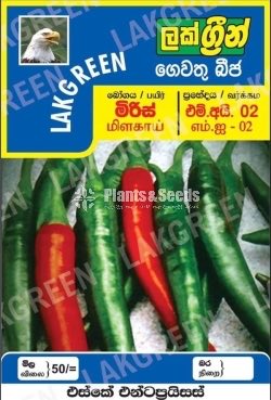 Vegetable Seeds Pack