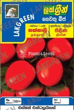 Vegetable Seeds Pack