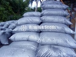 Dhayya Aguru (දහයියා අගුරු)
