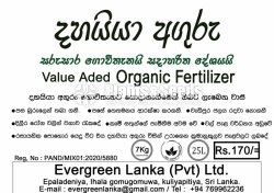 Dhayya Aguru (දහයියා අගුරු)