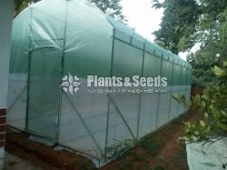 Portable Green House  6M*3.5M*3M