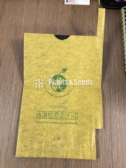 Fruit Covers (TomEJC Covers)