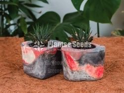 Marble Cement Pots