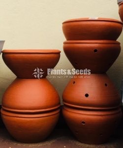 Clay Pots 590