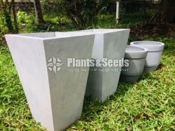 Cement Pots