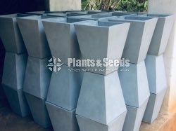 Cement Pots