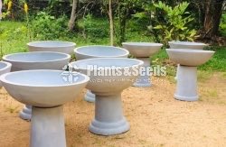 Cement Pots