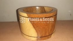 Wood Cactus Pots