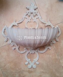 Decorative Pots