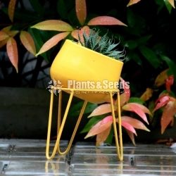 Ceramic Powder Coated Pots with Stand