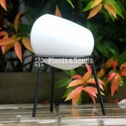 Ceramic Powder Coated Pots with Stand