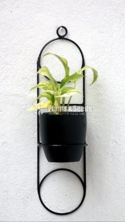 Ceramic Powder Coated Pots with Stand