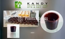 Ceramic Pots