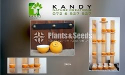 Ceramic Pots