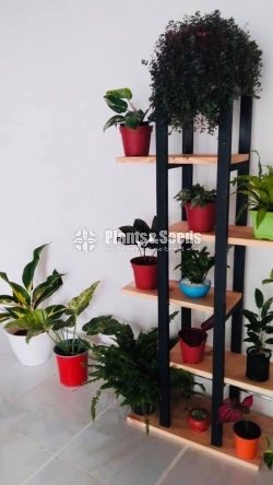 Indoor Wall stand-8000