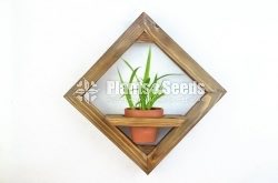 Indoor Wall stand-2500