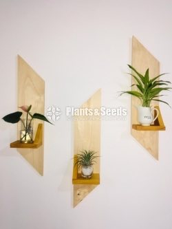 Indoor Wall stand-1200