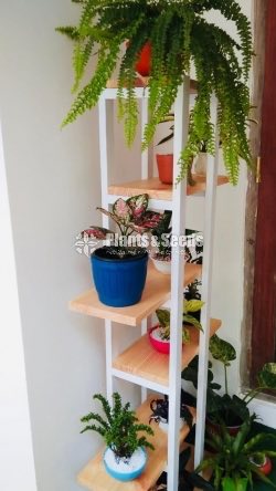 Indoor Wall stand-8000