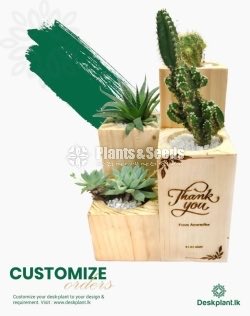 Gift Plants