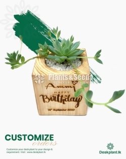 Gift Plants