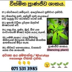 Pranajeewa Plant