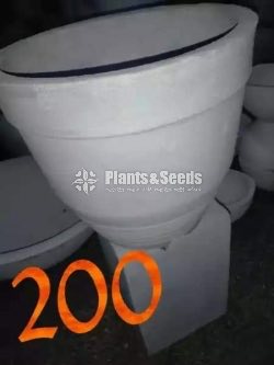 Cement Pots