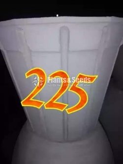 Cement Pots