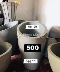 Cement Pots