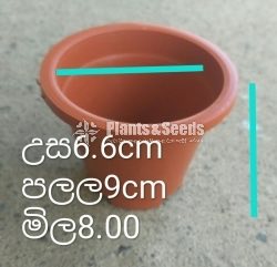 Plastic Pots