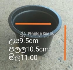 Plastic Pots