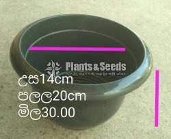 Plastic Pots