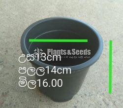 Plastic Pots