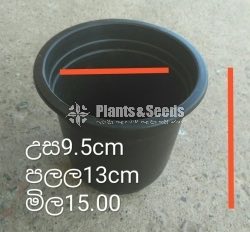 Plastic Pots
